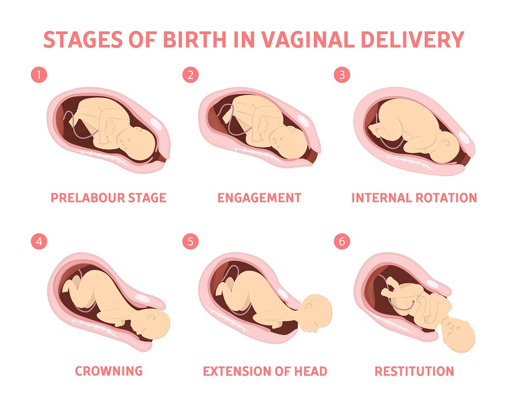 Stages Of Labour Mums Mothers